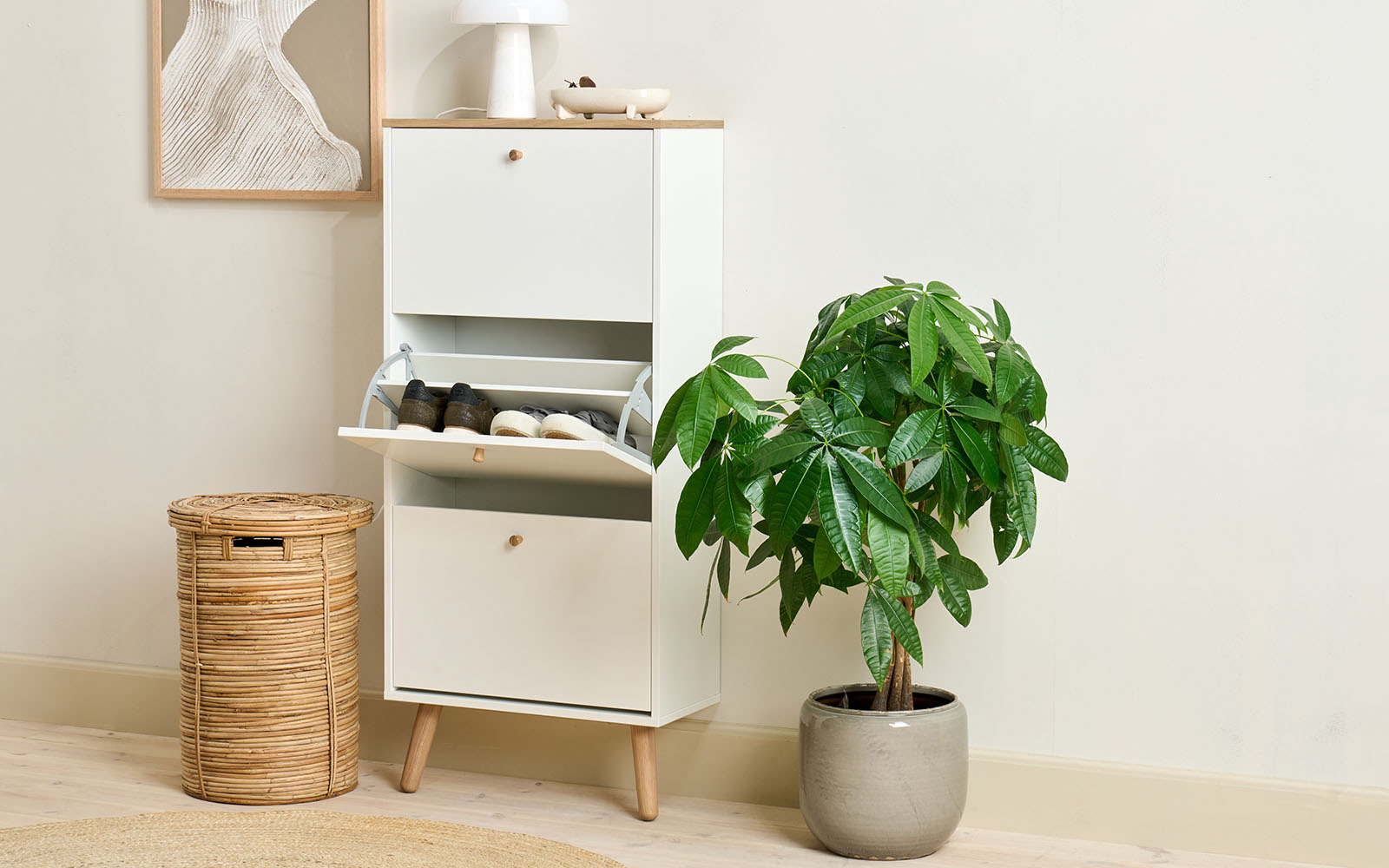 Hub skoskab 1657